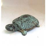 A006 เต่าทองเหลือง A006 เต่าทองเหลือง